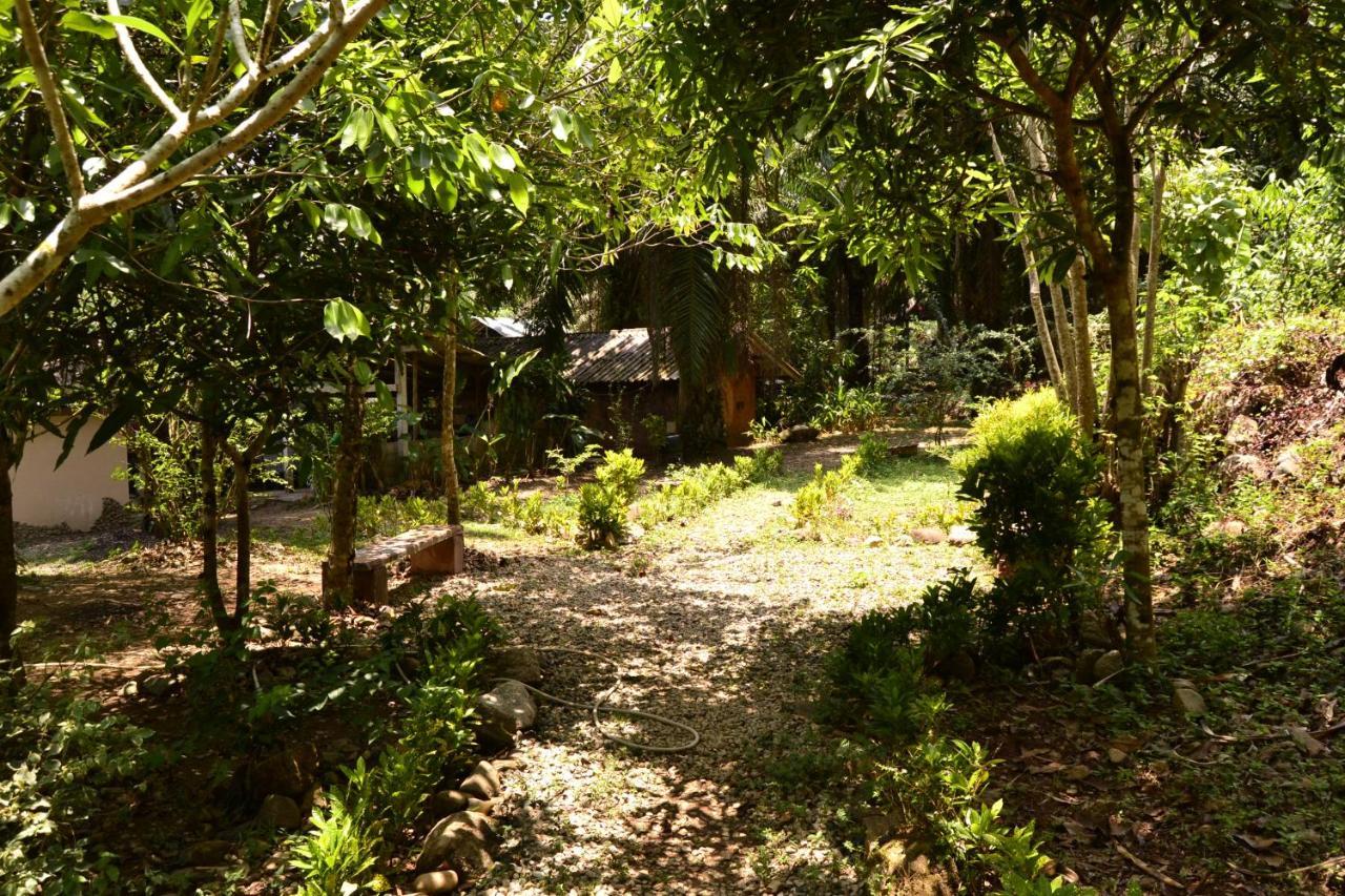 Eco-Logic, Resort For Charity Phato Εξωτερικό φωτογραφία